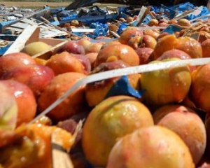 У Росії знищили вагон фруктів з Білорусі