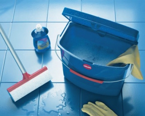 Правительство предлагает легализовать домработников