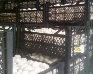 Поліцейські затримали нелегального постачальника грибів на територію &quot;ДНР&quot;