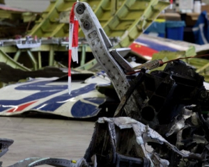 Сім&#039;ї жертв катастрофи MH17 вимагають опублікувати радіолокаційні знімки