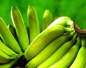 Вчені: зелені банани корисніші, ніж жовті
