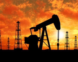 Нефть через два месяца будет стоить $20 - эксперт