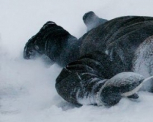 У Миколаєві виявили тіло замерзлого військового