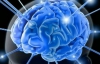 Ученые доказали, что человеческий мозг способен вместить в себя весь интернет
