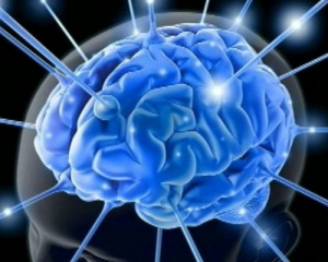 Вчені довели, що людський мозок здатний вмістити в себе весь інтернет