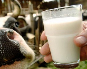 Україна планує постачати до Африки більше молока