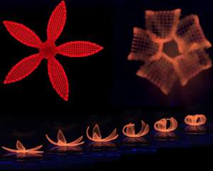Ученые напечатали 4D-растение на 3D-принтере