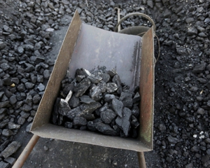 В Донецкой области разоблачили миллионную растрату при закупке угля для школ