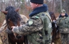 На Буковине пограничники схватили лошадей с множеством сигарет