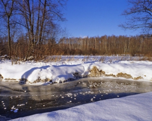 На реке в Днепропетровской области дети ушли под лед