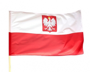 Украинцам предлагают бесплатно изучать польский и немецкий языки онлайн