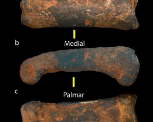 В Африці знайшли людські останки, яким понад 2 мільйони років