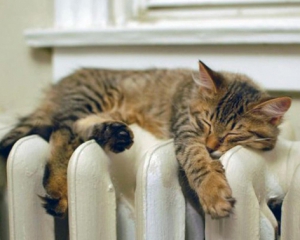 Стало известно, сколько в среднем Украинцы заплатили за коммуналку