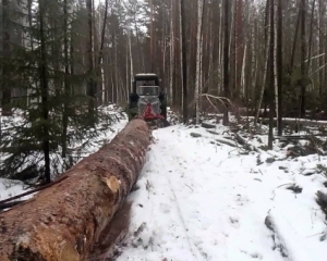 На Сумщине во время заготовки леса погиб тракторист