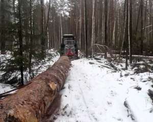 На Сумщині під час заготовки лісу загинув тракторист