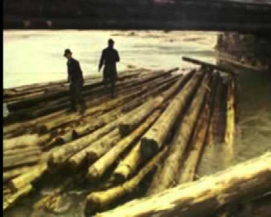 Карпатские каскадеры - как керманичи сплавляли лес по рекам