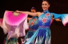 "Кулак тигра" та танок з віялами - в столиці відзначили китайське Свято Весни