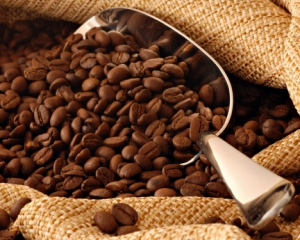Кофе дорожает из-за возможного неурожая