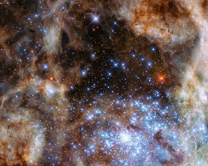 Телескоп Hubble виявив дев&#039;ять зірок-монстрів