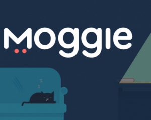 Український стартап Maggie отримав $70 тис інвестицій