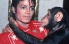 Про улюбленого шимпанзе Майкла Джексона знімуть фільм