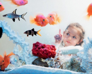 10 весомых причин купить ребенку аквариум с рыбками