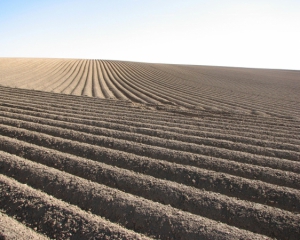 За продажу земли выступают 85% паевиков - Минагрополитики