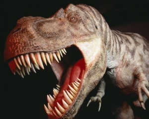 Ученые назвали число видов динозавров