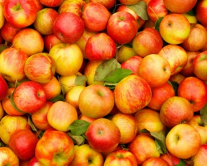 Українці їдять набагато менше імпортних яблук