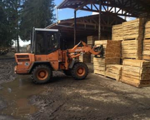 СБУ остановила экспорт древесины на 40 миллионов