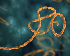 Ебола більше не є міжнародною загрозою - ВООЗ