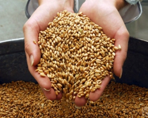 У лютому продали на мільйон тонн більше зерна за кордон