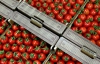 В Крыму раздавили 4 тонны турецких помидоров