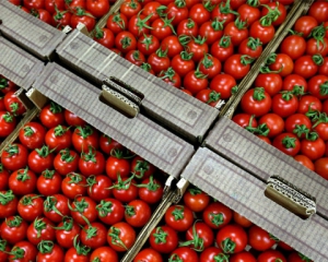 В Крыму раздавили 4 тонны турецких помидоров