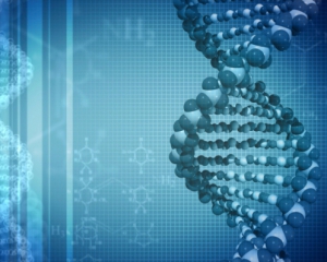 Ученые закодировали цифровую информацию в ДНК