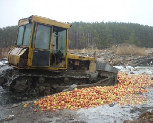 В России раздавили 22 тонны украинских яблок