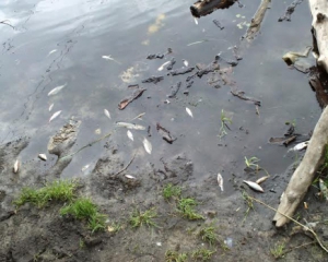 На Житомирщине экологическая катастрофа - нельзя брать воду из рек