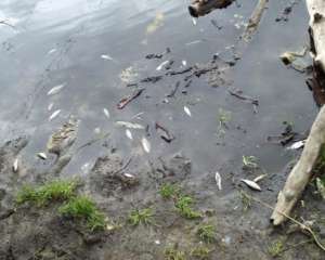 На Житомирщині екологічна катастрофа - не можна брати воду з річок