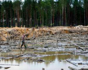 Парубій наказав створити робочу групу з &quot;бурштинових&quot; питань