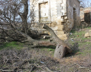 На Николаевщине черные археологи разрушили старинную усадьбу