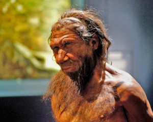 Неандертальцы могли  вымереть  из-за &quot;африканских&quot; болезней – ученые