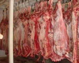 У Росії знищили 24,5 тонни української яловичини