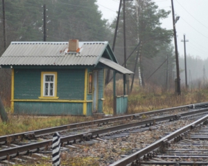 Пенсионерка попала под грузовой поезд ночью