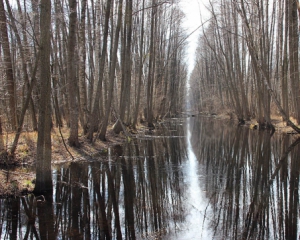 На Волині українське село воює з Білоруссю за водний канал