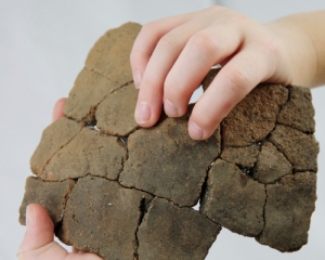 Дети бронзового века были умелыми гончарами - археологи