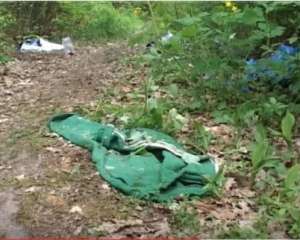 Части тела женщины почти ежедневно находили в лесу в Киеве