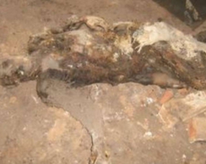 На Закарпатье нашли скелет мужчины