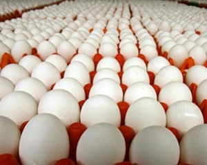 Яйця дорожчають через цінові війни