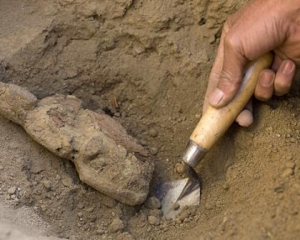 На Житомирщині знайшли масове поховання жертв червоного терору