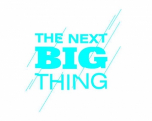 На The Next Big Thing-2016 можно стать клипмейкером Джамалы